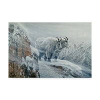 Védjegy Képzőművészet 'Winters Fury Mountain Goat' vászon művészet, Ron Parker