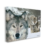 Stupell Industries Vad Farkasok Havas Téli Táj Állatok & Rovarok Fotógaléria Csomagolt Vászon Nyomtatás Wall Art
